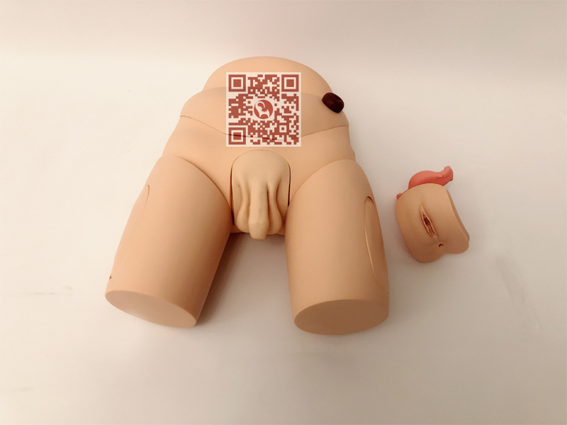 高级男性导尿模型ET/H17E - 灌肠导尿模型—急救中国指定产品：电子导尿灌肠教学实习模型|象鼎医学-  急救中国指定生产厂家：医学模型|心肺复苏模拟人|护理人模型|