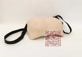 高级技法检查乳房ET/F7A-乳房视触诊检查模郭润文模型图片